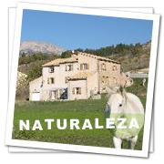 naturaleza-montana
