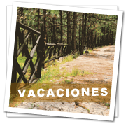vacaciones-montaña