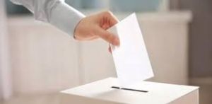 En elecciones municipales, qu votaras?