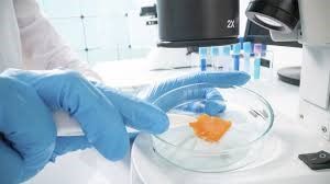 Oferta de empleo: Personal t�cnico y docente