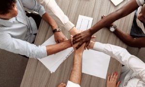 Oferta de empleo: T�cnico de programa