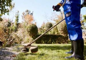 Oferta de empleo: Docente jardiner�a