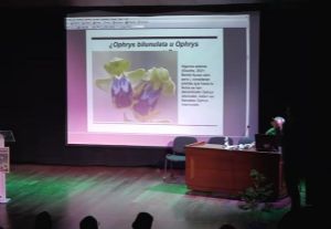 V�deo: Orquideoflora