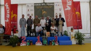 La Feria del Perro celebra su XXXIII edici�n